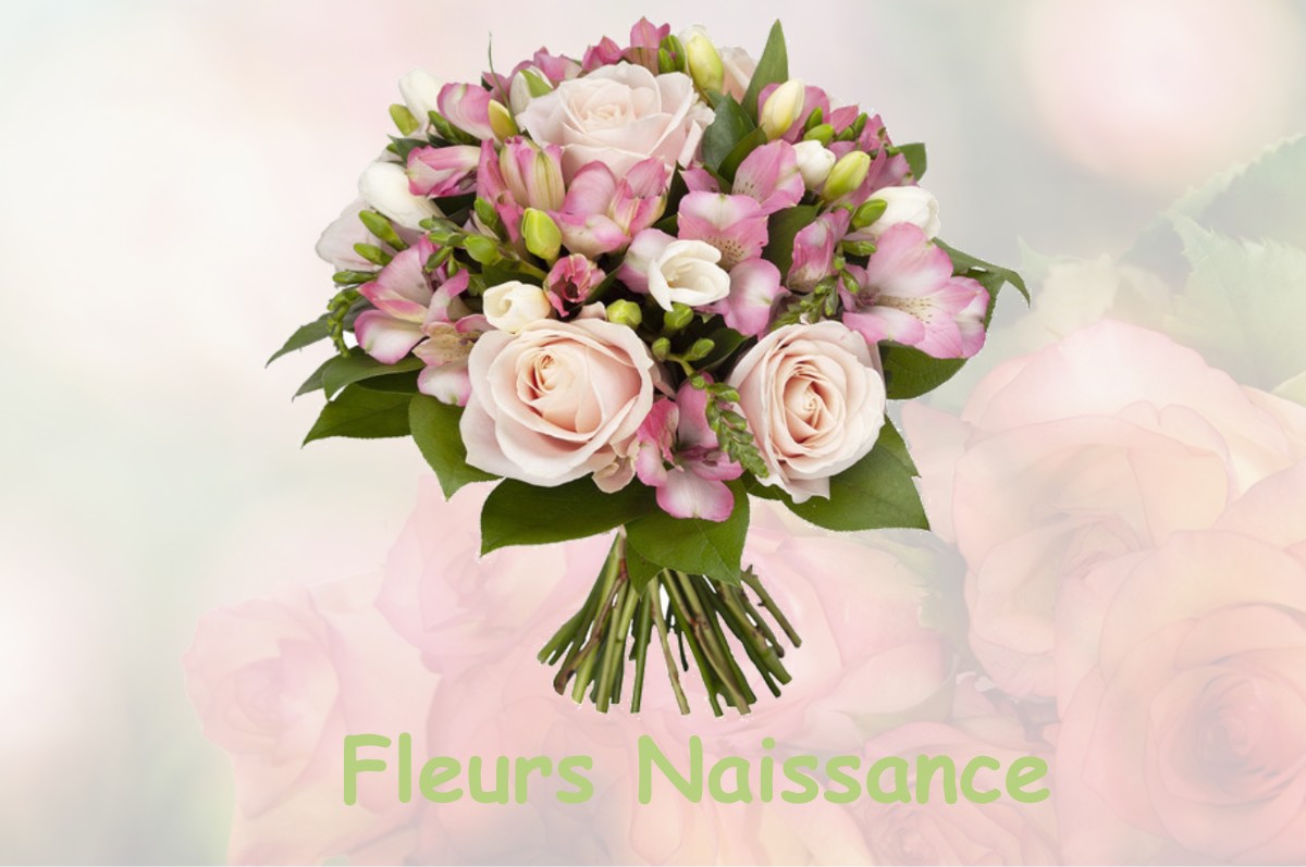 fleurs naissance SAULCHOY-SOUS-POIX